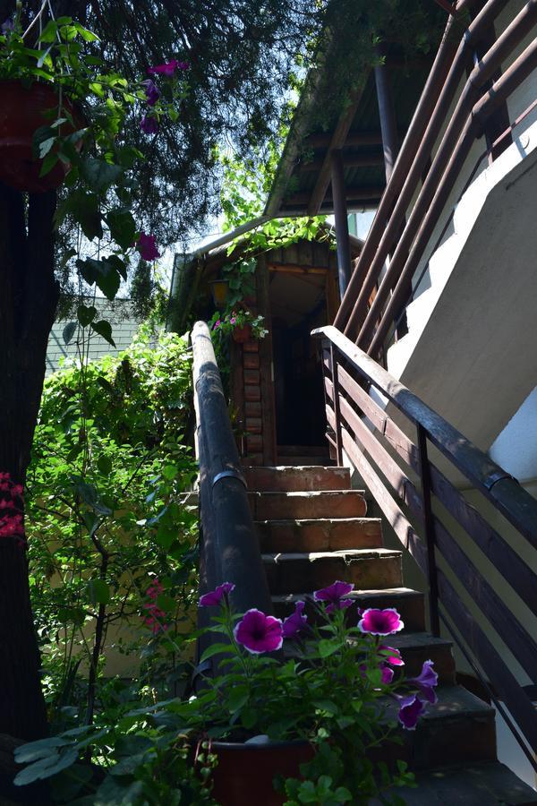 Apartment Jancic Smederevo Exterior foto